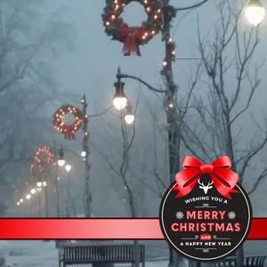 Meet your Posher, Dixie